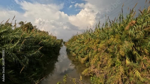 the banks of a stream of clean water against a cloudy winter sky, in Agmon Hachula Nature Reserve - Northern Israel photo