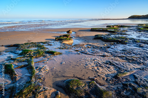 Ancient Forest Floor on Low Hauxley Beach.  Ancient tree stumps and logs lie in Low Hauxley Beach near Amble, Northumberland, believed to be part of Doggerland and a 7000 year old forest photo