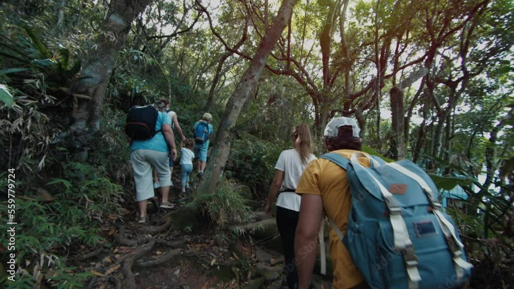 custom made wallpaper toronto digitalFamily hiking in the tropical forest. Extended family with kids explore the trail and hike in the lush jungles