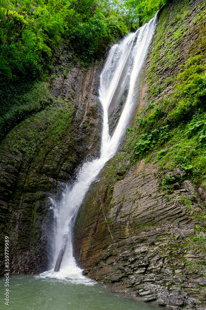 Obraz premium Waterfall in the forest