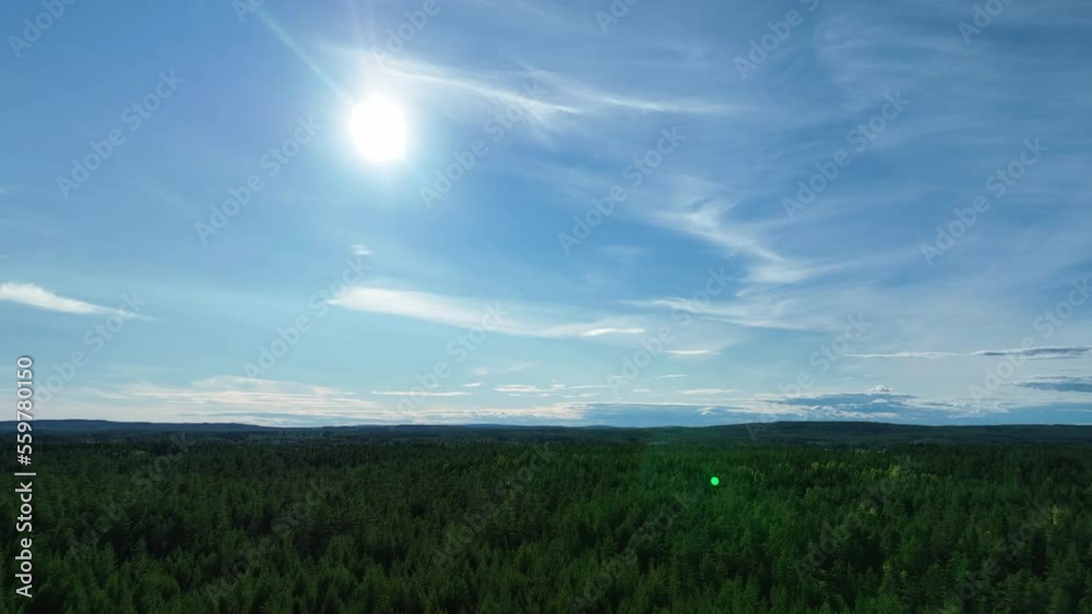 Scenic fly over Northern Scandinavian forest, sunny summer day with blue sky, evergreen forest below. Aerial video Scenic fly over Northern Scandinavian forest, sunny summer day with blue sky, evergreen forest below. Aerial video