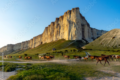 A herd of horses runs against the cliffs