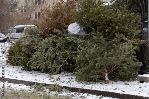 Huge pile of Christmas trees thrown out after Christmas and new year celebration. Damage for the nature and ecology, global warming and consumerism issues