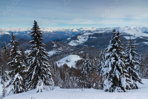 Winter landscape with trees and mountains covered with snow, Valle Camonica, Italian Alps, Lombardy, Italy.