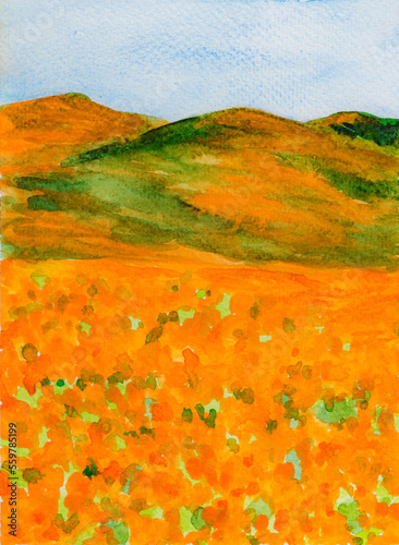 Slika na platnu California Poppy Fields. Watercolor Painting 1