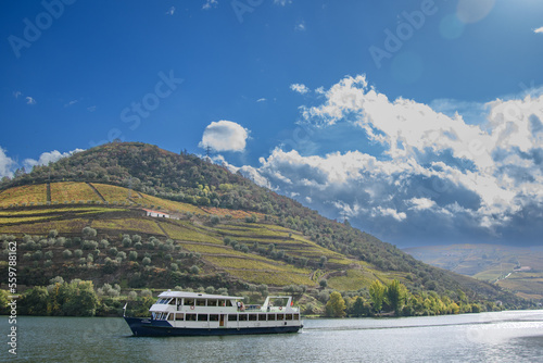 Wallpaper Mural The douro valley in Portugal near the town of Pinhao Torontodigital.ca