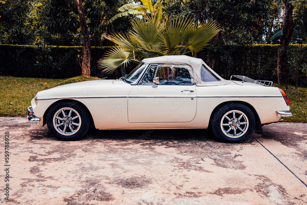 Classic MG MGB Roadster GT cream color car parked on road in garden