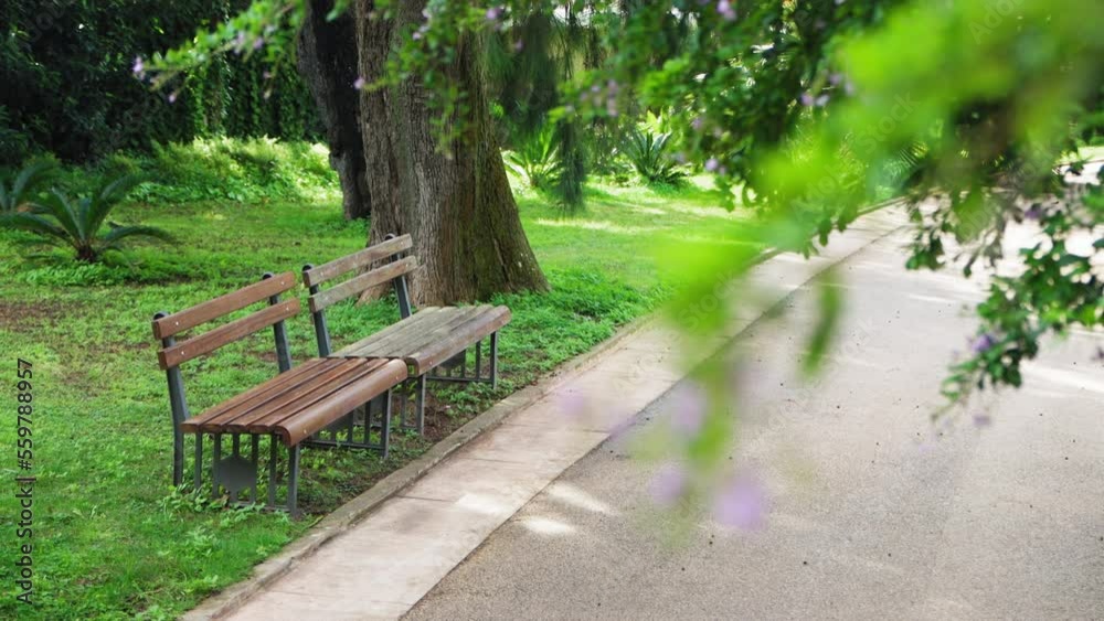 Benches in a green park by empty walking path Benches in a green park by empty walking path