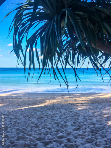 beach, palm trees and Andaman sea in Thailand on Phuket island