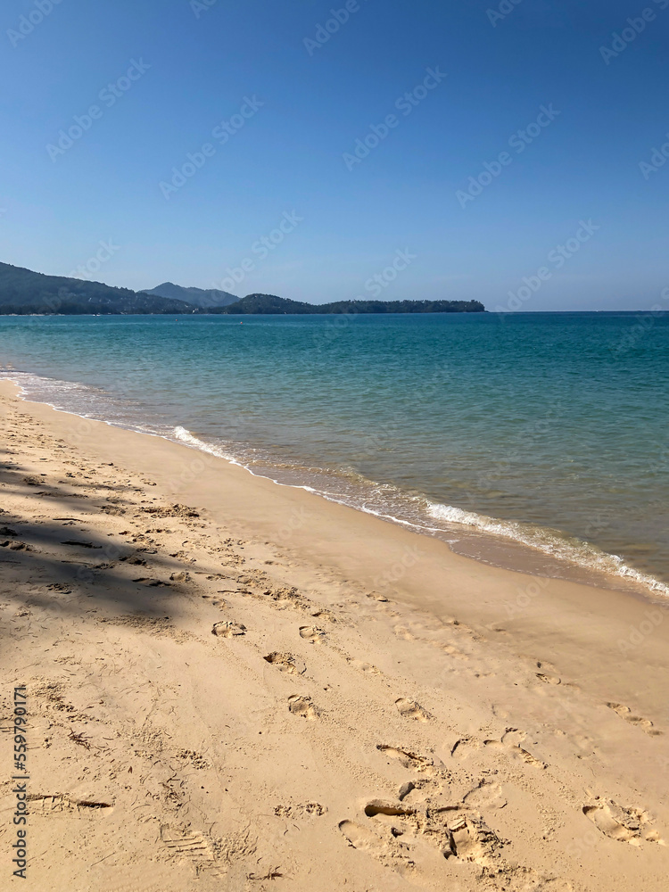 beach, palm trees and Andaman sea in Thailand on Phuket island beach, palm trees and Andaman sea in Thailand on Phuket island