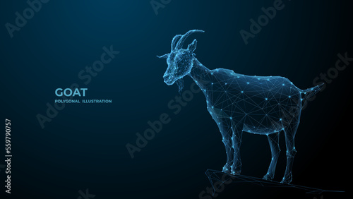 Goat. Digital polygon vector. Isolated line illustration of ibex. Capricorn wireframe 3d background. Chenese Zodiac Mascot.