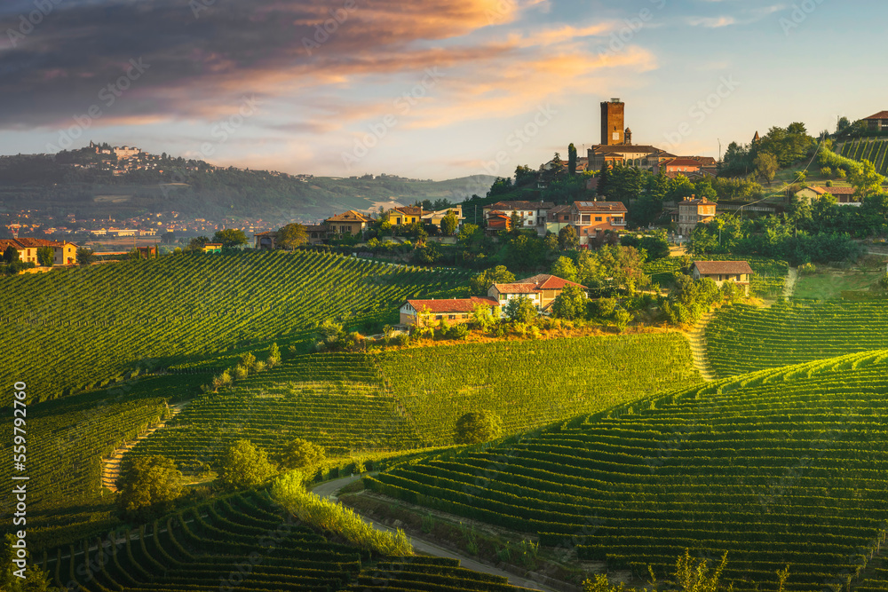 Naklejka premium Barbaresco village and Langhe vineyards, Piedmont, Italy.