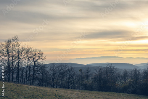 Late autumn landscape.Sunset over hills and silhouettes of trees.