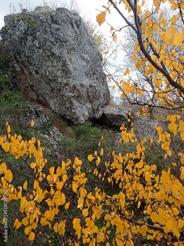 autumn in the mountains