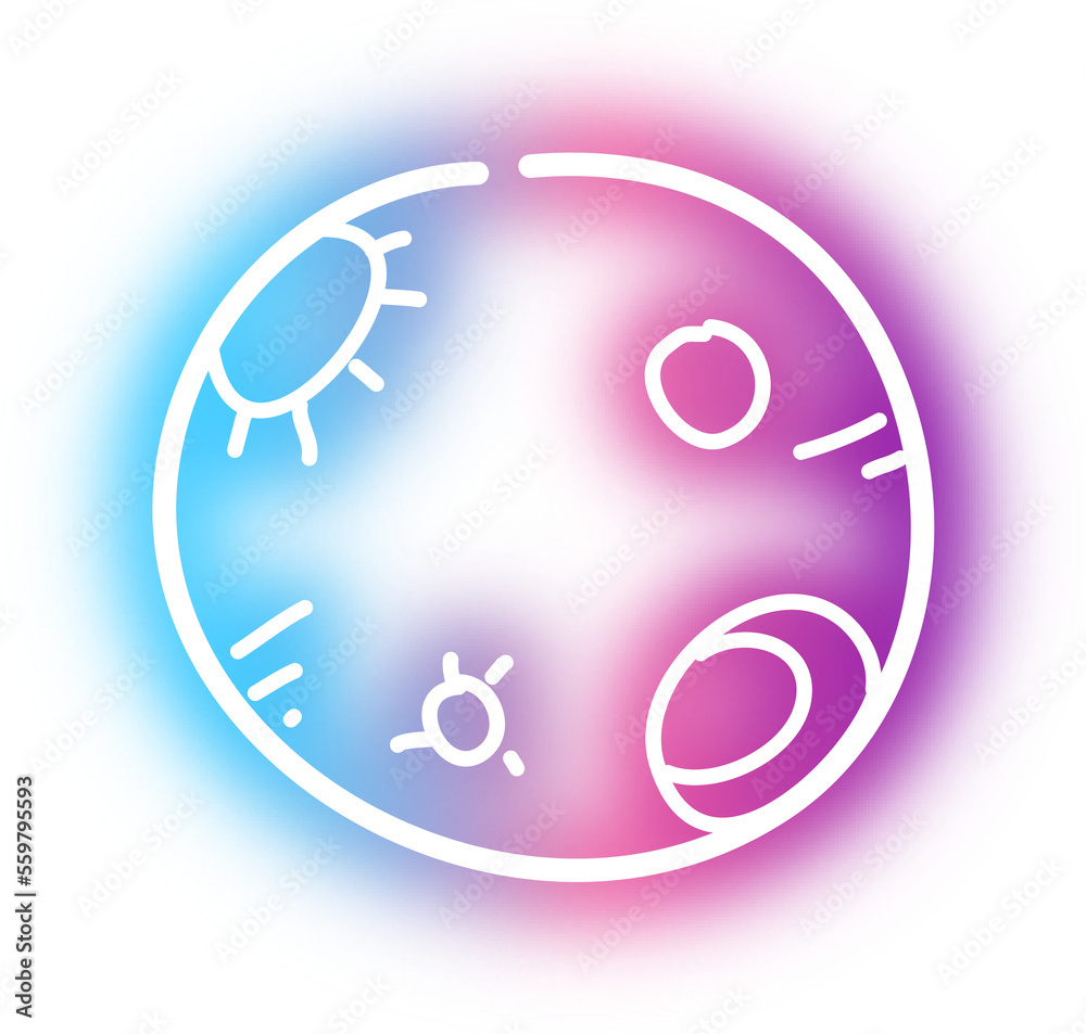 Collection of school neon