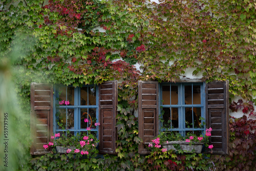 old house with flowers © Katalin