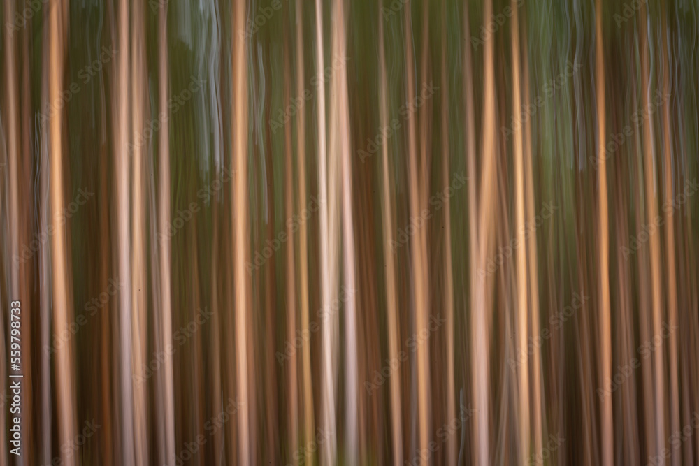 Fototapeta premium abstract striped background