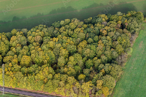 vue aérienne de la forêt à l'automne à Villiers-en-Désœuvre dans les Yvelines en France