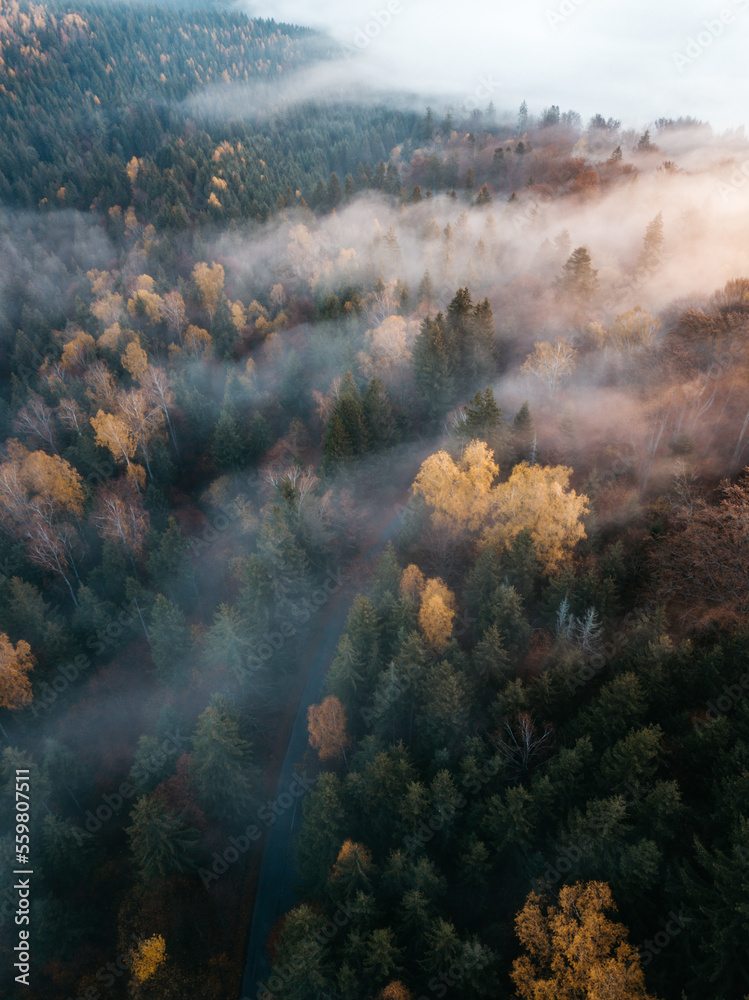 Aerial shot of landscape view of colorful autumn foggy  forest with low clouds around in the woods at sunrise.