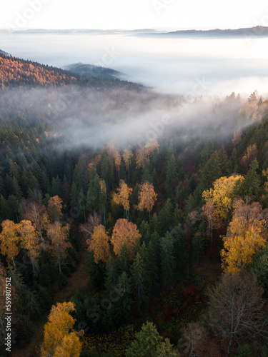 Breathtaking  autumn landsc...
