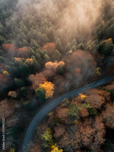 Aerial view of road in beau...