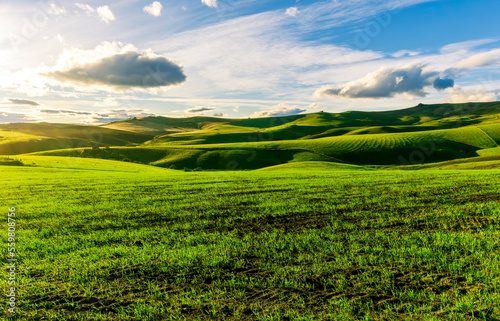 valley view in a green shiny field with green grass and golden sun rays  deep blue cloudy sky on a background   green rural hills in spring young season