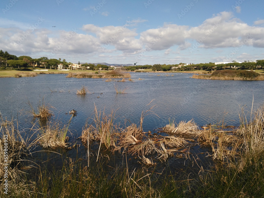 Fototapeta premium Algarve in Portugal
