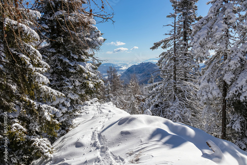 Ski tour trail leading to Kobesnock in Bad Bleiberg, Carinthia, Austria, Europe. Scenic view of snow capped mountain peak Dobratsch, Julian Alps and Karawanks. Winter wonderland landscape on sunny day photo