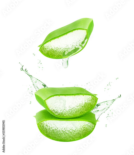 Leaf of Aloe Vera plant isolated on white or transparent background.