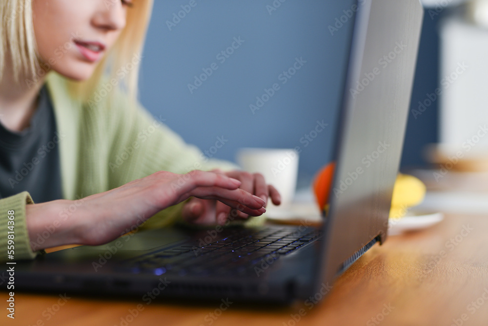 Fototapeta premium Woman with a laptop close-up