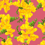 Vector pattern of freesia flowers. Spring floral background. Delicate pattern