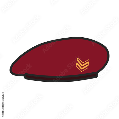 Military beret vector icon.Color vector icon isolated on white background military beret.