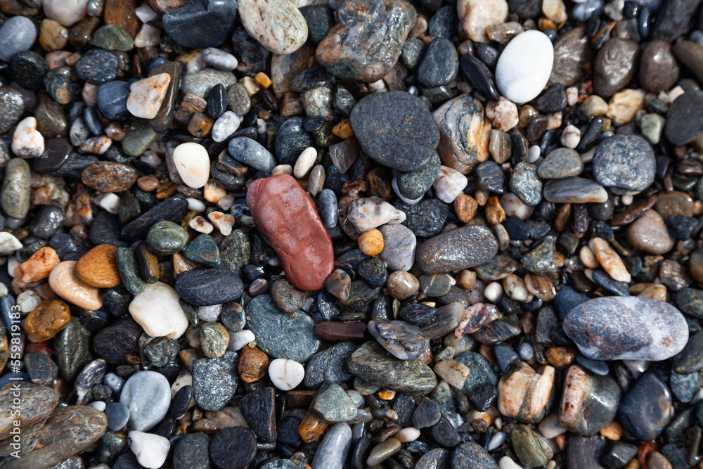 Background of sea stones. Stones of different shapes, sizes and colors on the seashore, close-up. Background of sea stones. Stones of different shapes, sizes and colors on the seashore, close-up.