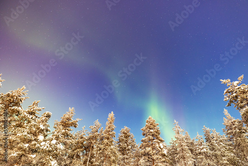 landscape with northern lights