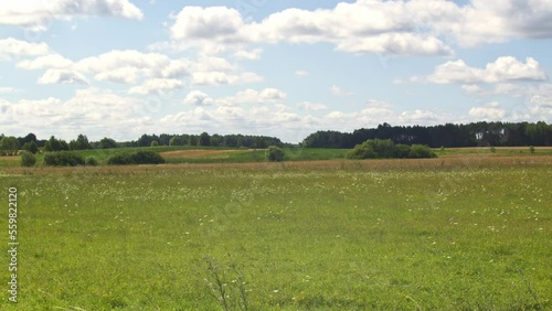 fields, grasslands and forests, view of nature