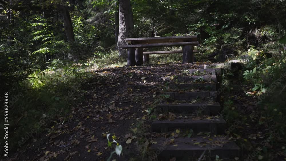 Autumn walk along the trail in the Gauja National Park. Winding path between green deciduous trees. Two wooden benches for relaxing in the meadow. Latvia Autumn walk along the trail in the Gauja National Park. Winding path between green deciduous trees. Two wooden benches for relaxing in the meadow. Latvia