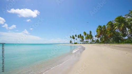 Walk along a tropical beach with blue sea waves. Green palm trees on yellow sand under a sunny blue sky. Summer holidays in the exotic islands of the Caribbean. Tropical travel. photo