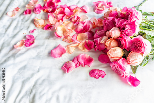 Fototapeta Naklejka Na Ścianę i Meble -  Pink Roses with Petals on bed. Romantic nature texture