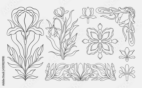 Floral iris set in art nouveau 1920-1930. Hand drawn in a linear style with weaves of lines, leaves and flowers. photo