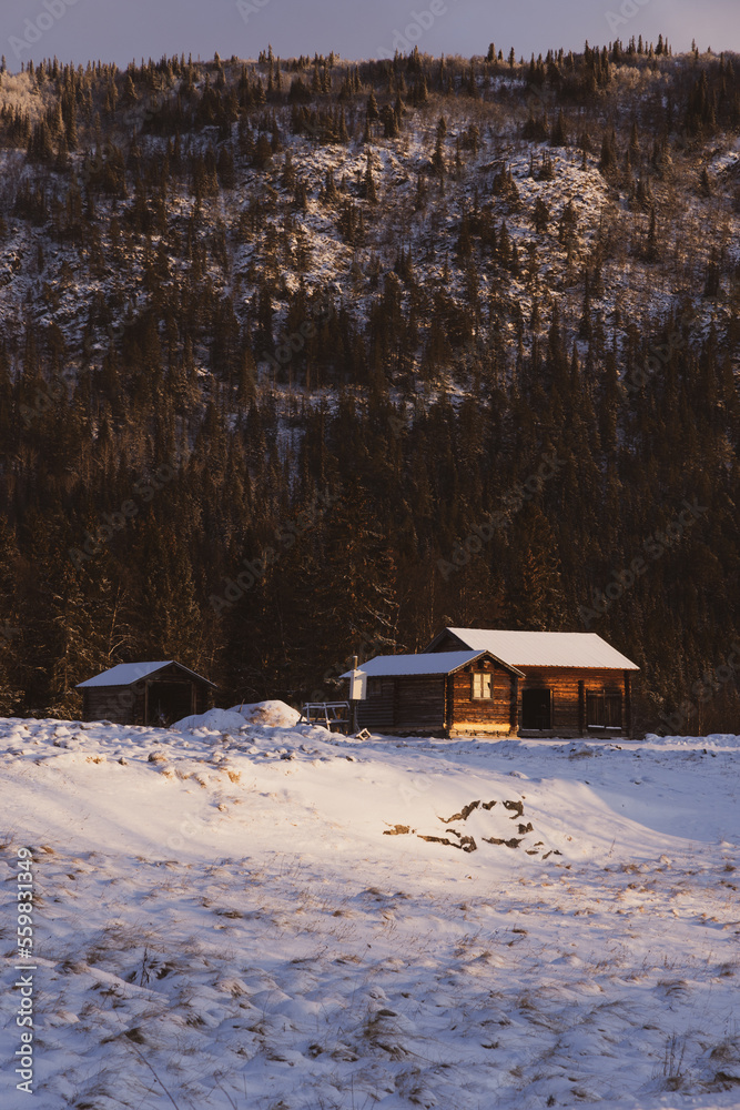 custom made wallpaper toronto digitalBeautiful little wooden mountain houses, huts surrounded by forest on a sunny winter day. Skiing resort in Sweden, Funasdalen covered in snow