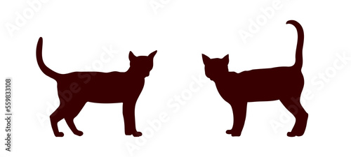 Cats silhouette side view. Black animal shape.