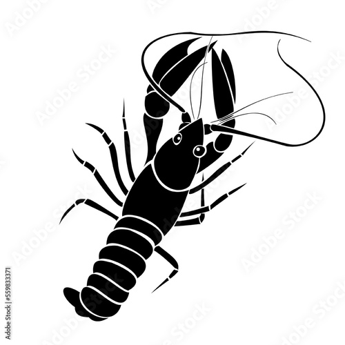 Lobster vector illustration, isolated on white background, seafood.