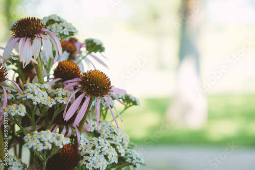 Bouquet of wildflowers with coneflowers for mothers day concept with copy space on blurred background.