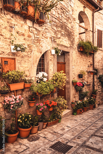 narrow street and flowers in the town of spello in umbria  italy