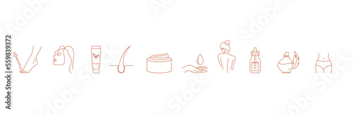 cream, fragrances, skin serum, cosmetic products and essential oil icon set vector illustration 