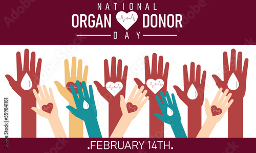 Hands with  white heart, health care,  lung , love, organ donation, world heart day, world health day .Vector illistration .