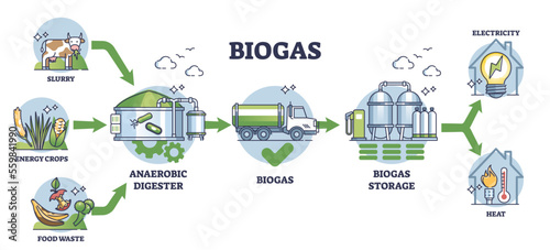 Biogas production stages with bio gas generation explanation outline diagram. Labeled educational scheme with process from slurry and crops to storage and heating or electricity vector illustration. photo