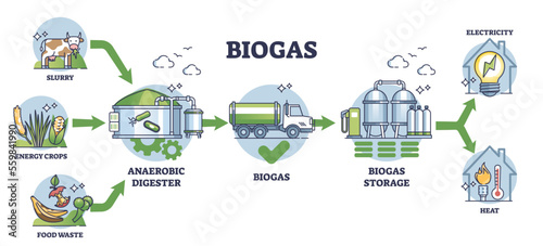 Biogas production stages with bio gas generation explanation outline diagram. Labeled educational scheme with process from slurry and crops to storage and heating or electricity vector illustration.