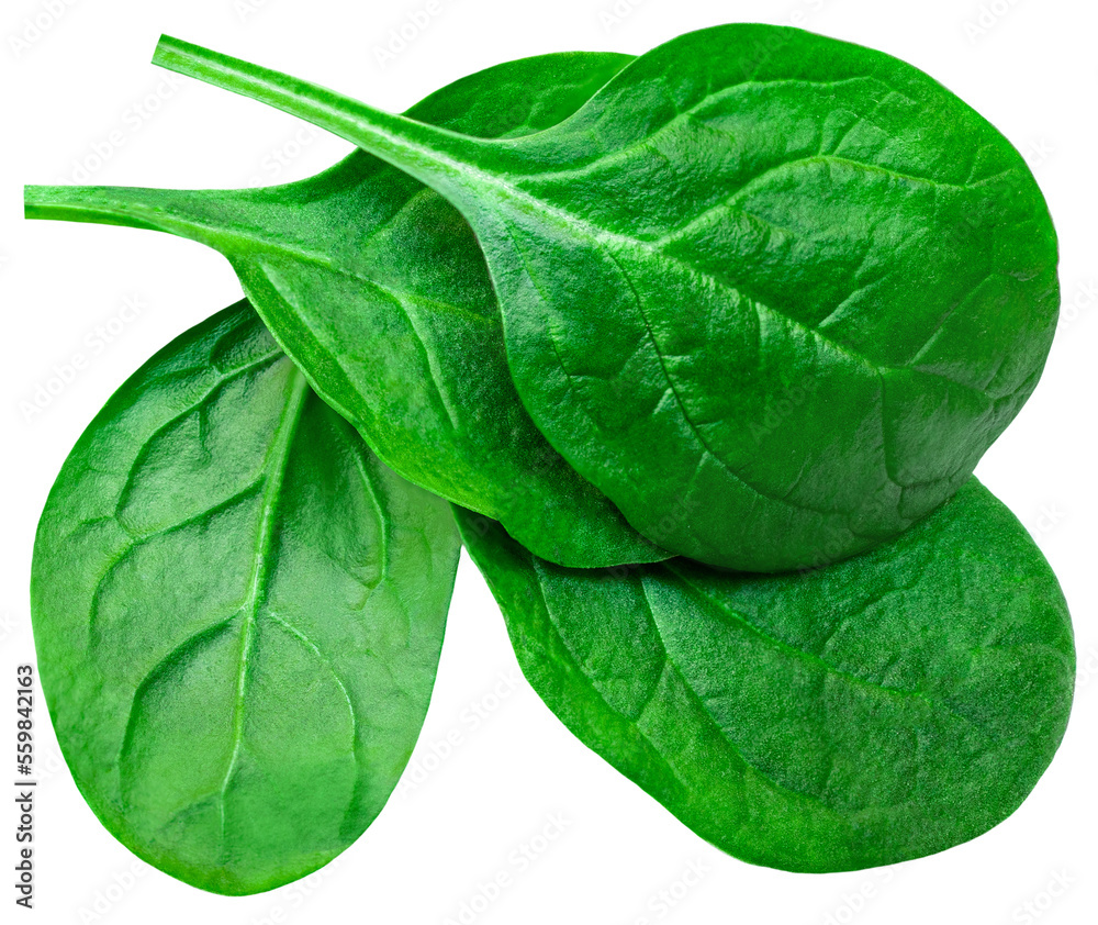 Obraz premium Pile of fresh green baby spinach leaves isolated on white background. Espinach Close up. Flat lay. Food concept.