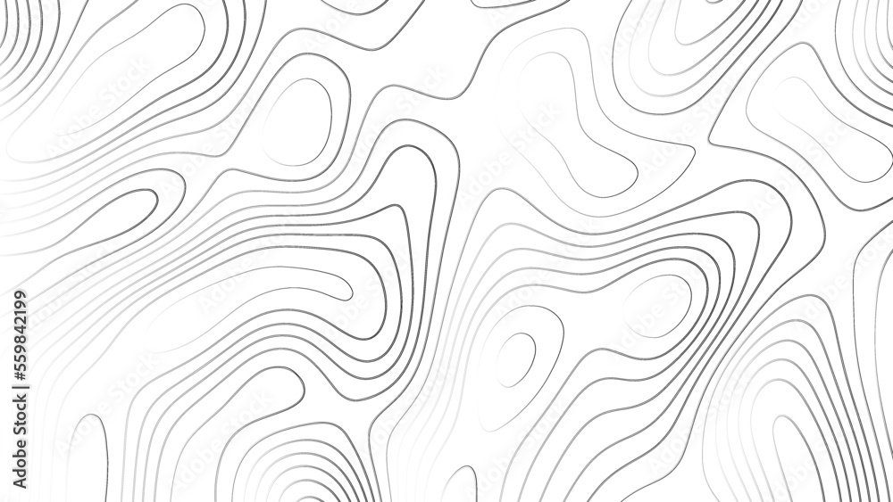 Topographic map. 	
Abstract white topography vector background. Line topography map design. The concept of conditional geographical pattern and topography.	
